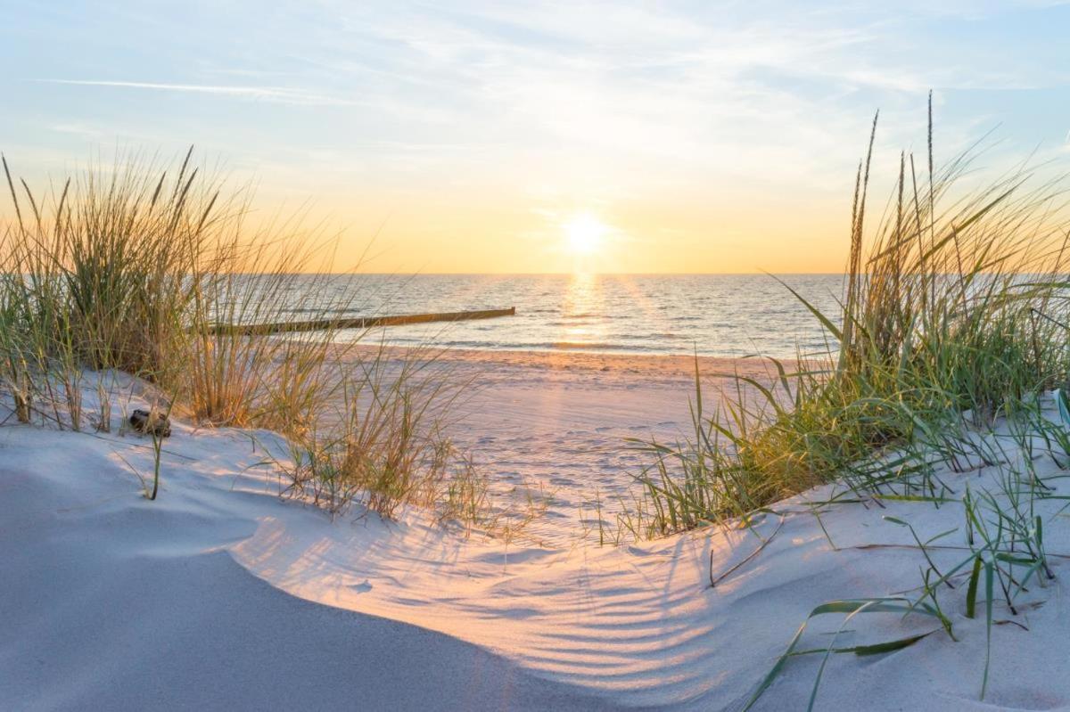 Sonnenaufgang, Direkt Am Alten Strom Rostock Exteriör bild